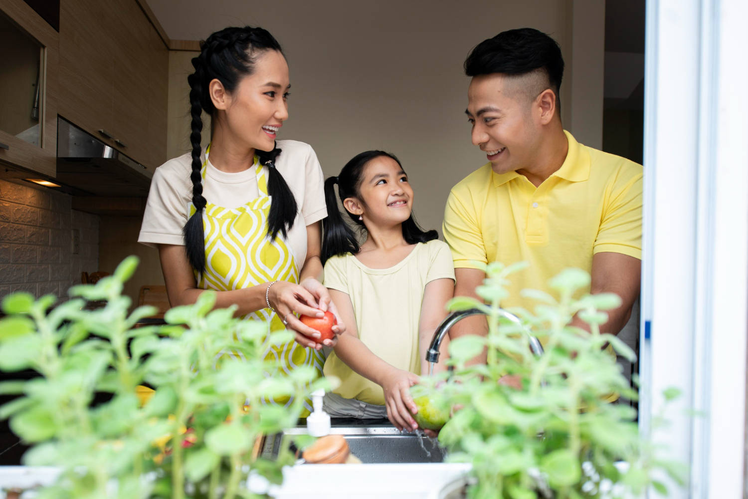 Desain Rumah Sehat dan Nyaman