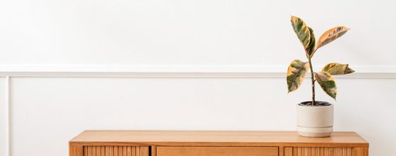 Tips Menata Ruang Minimalis