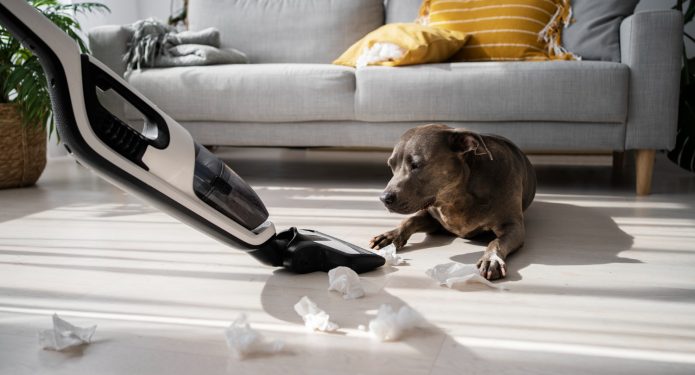 Desain Interior Pet Friendly: Tips dan Ide untuk Menciptakan Ruang yang Nyaman bagi Hewan Peliharaan 